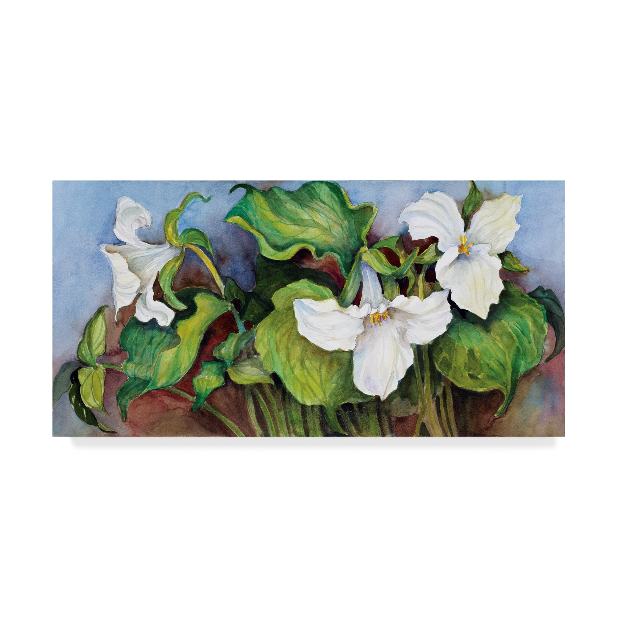 Trademark Fine Art 'Woodland Trillium White' Canvas Art by Joanne Porter
