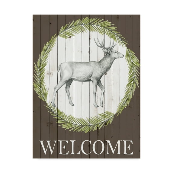 Trademark Fine Art 'Woodland Walk I' Canvas Art by Grace Popp