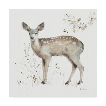 Trademark Fine Art 'Woodland Walk IX Fawn' Canvas Art by Lisa Audit