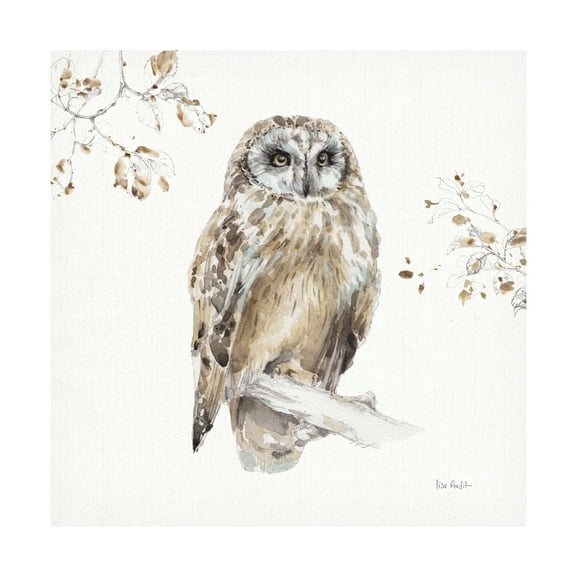 Trademark Fine Art 'Woodland Walk VIII Owl' Canvas Art by Lisa Audit
