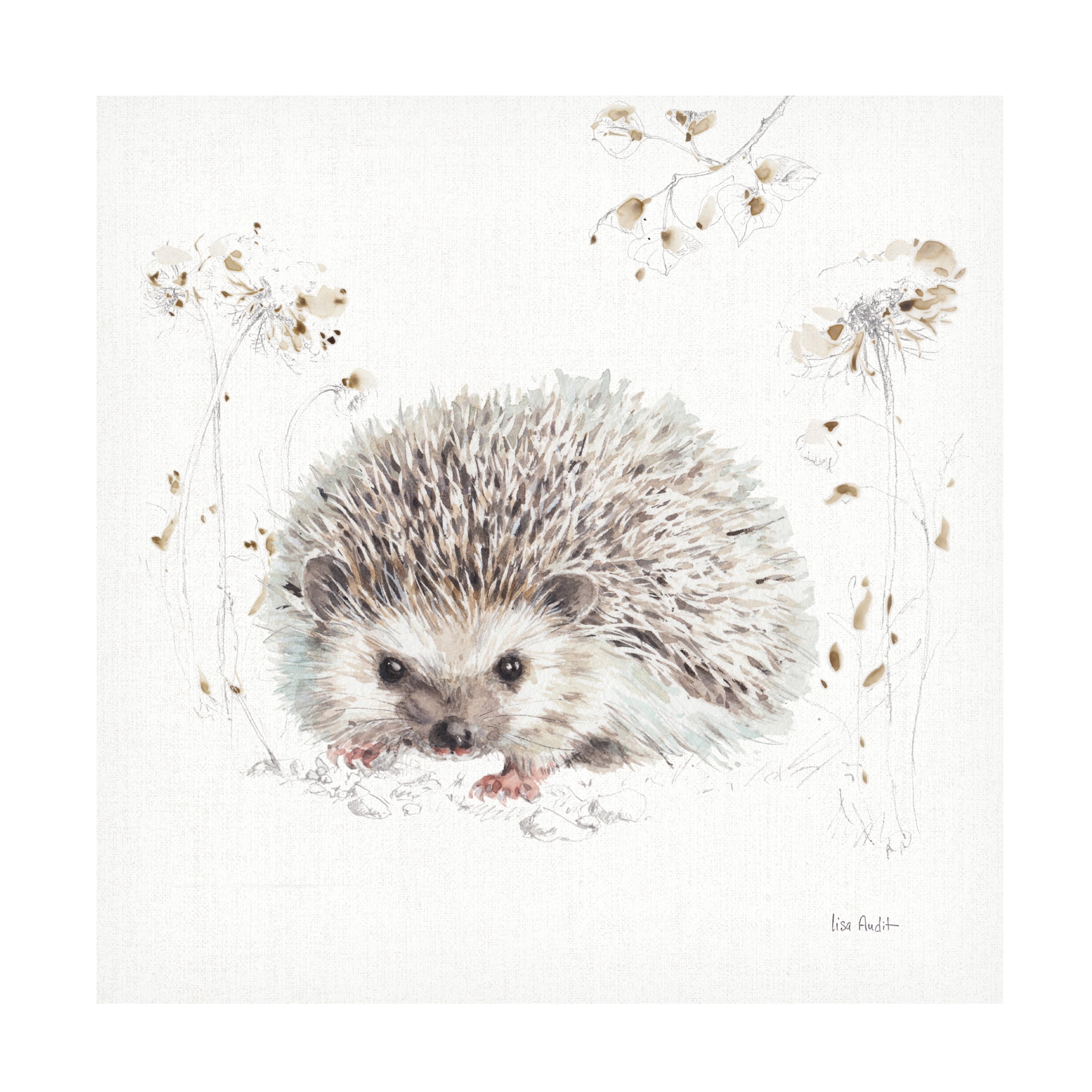 Trademark Fine Art 'Woodland Walk XII Hedgehog' Canvas Art by Lisa Audit