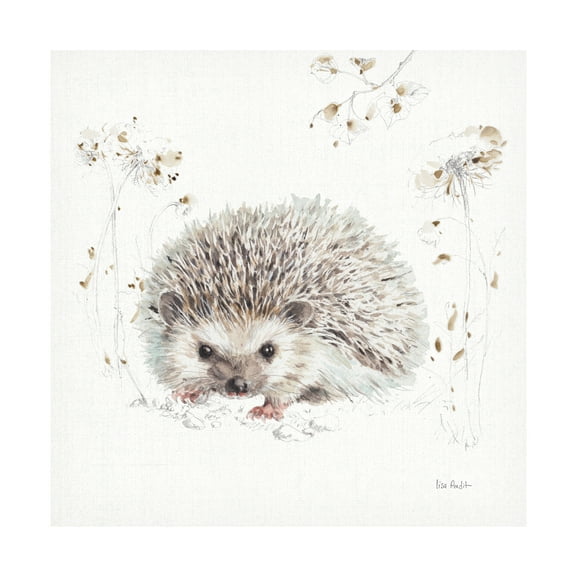 Trademark Fine Art 'Woodland Walk XII Hedgehog' Canvas Art by Lisa Audit