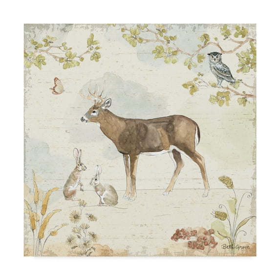 Trademark Fine Art 'Woodland Wreath III' Canvas Art by Beth Grove