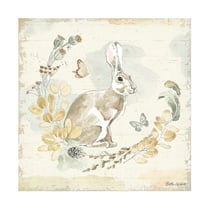 Trademark Fine Art 'Woodland Wreath X' Canvas Art by Beth Grove