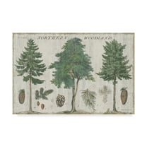 Trademark Fine Art 'Woodland Years I' Canvas Art by Sue Schlabach
