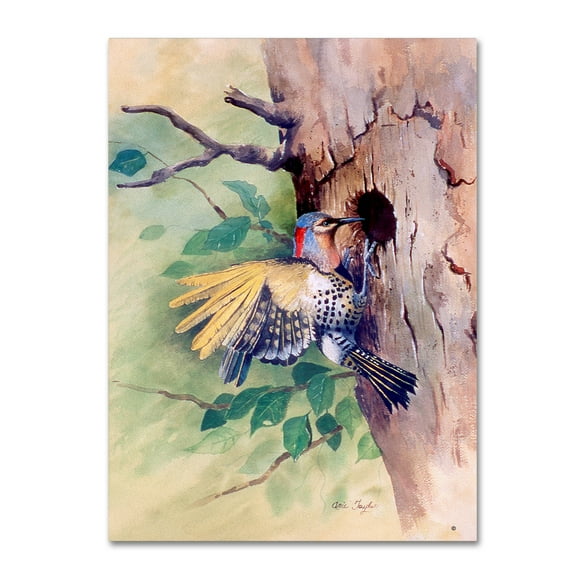 Trademark Fine Art 'Woodpecker' Canvas Art by Arie Reinhardt Taylor