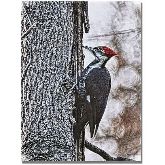 Trademark Fine Art "Woodpecker" Canvas Wall Art by Lois Bryan