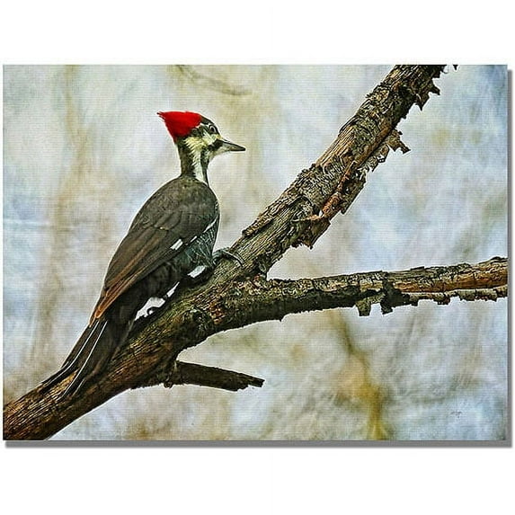 Trademark Fine Art "Woodpecker II" Canvas Wall Art by Lois Bryan