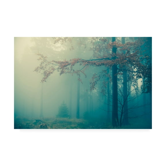 Trademark Fine Art 'Woods' Canvas Art by PhotoINC Studio