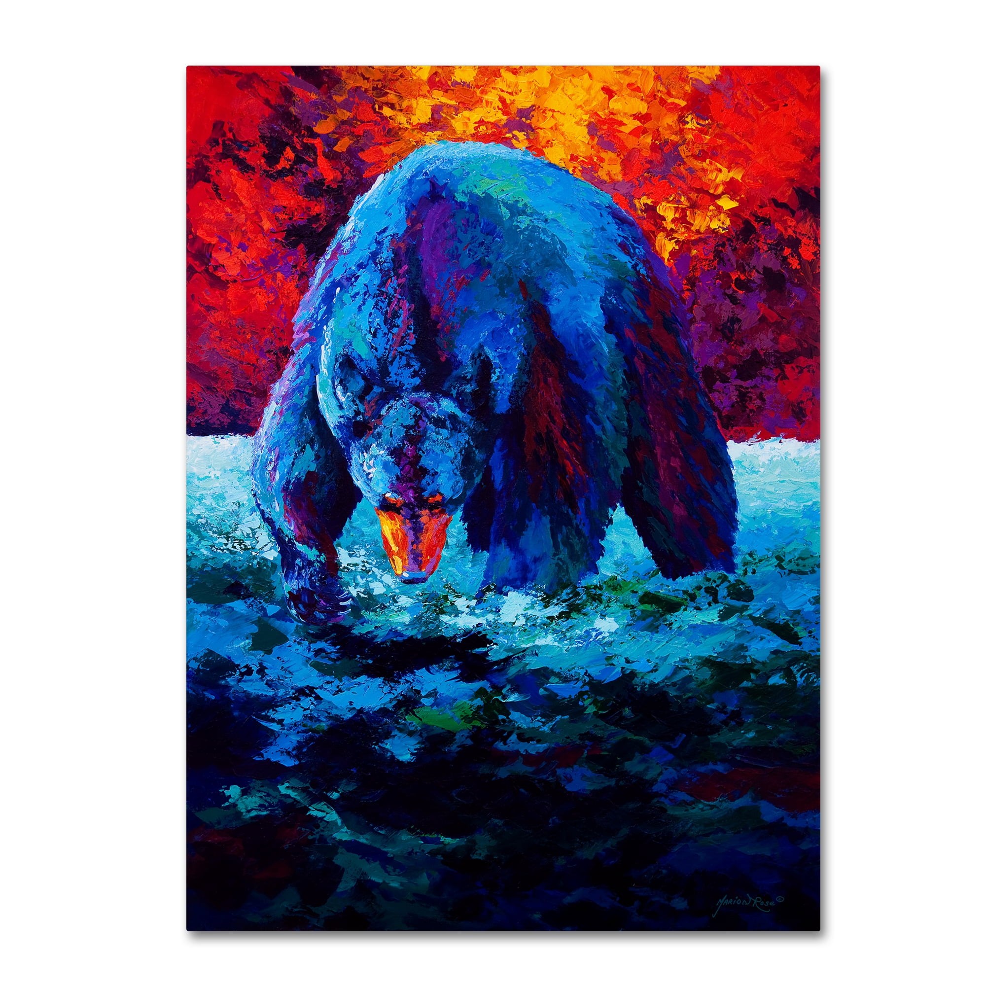 Trademark Fine Art 'Working The Shallows' Canvas Art by Marion Rose