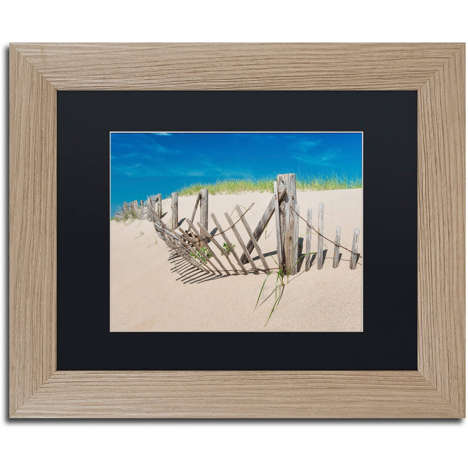 Trademark Fine Art "Worn Beach Fence" Canvas Art by Michael Blanchette Photography Black Matte, Birch Frame