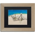 thumbnail image 1 of Trademark Fine Art "Worn Beach Fence" Canvas Art by Michael Blanchette Photography Black Matte, Birch Frame, 1 of 1