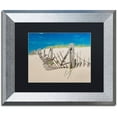 thumbnail image 1 of Trademark Fine Art "Worn Beach Fence" Canvas Art by Michael Blanchette Photography Black Matte, Silver Frame, 1 of 4