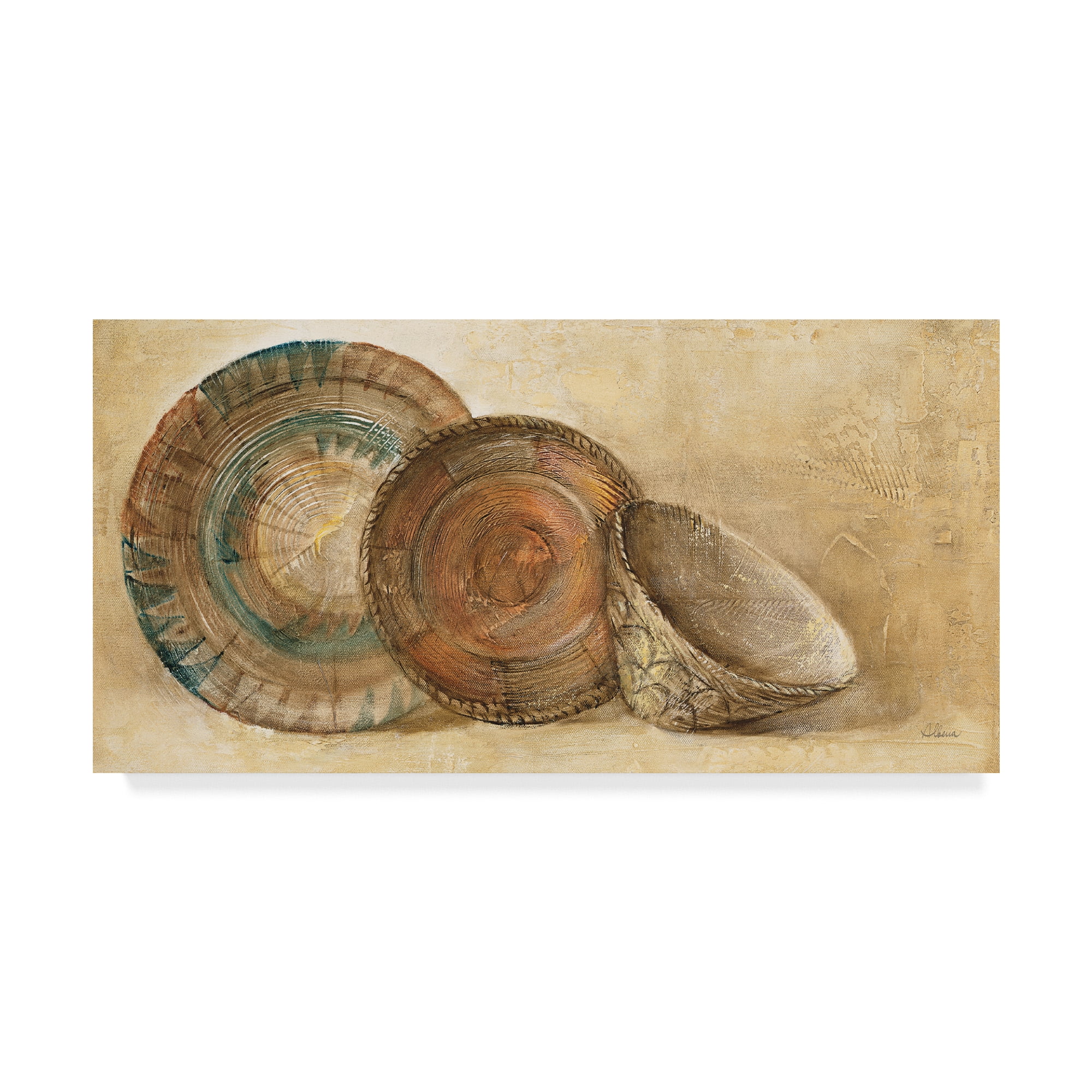 Trademark Fine Art 'Woven Vessels I Crop' Canvas Art by Albena Hristova