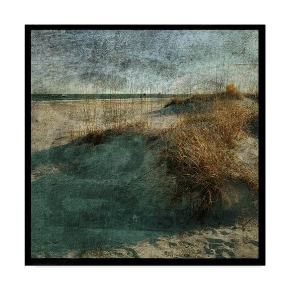 Trademark Fine Art 'Wrightsville Dunes' Canvas Art by John W. Golden
