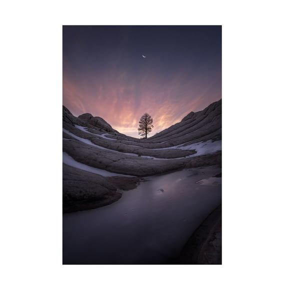 Trademark Fine Art Xiaopeng Guan Night Falls. Canvas Wall Art