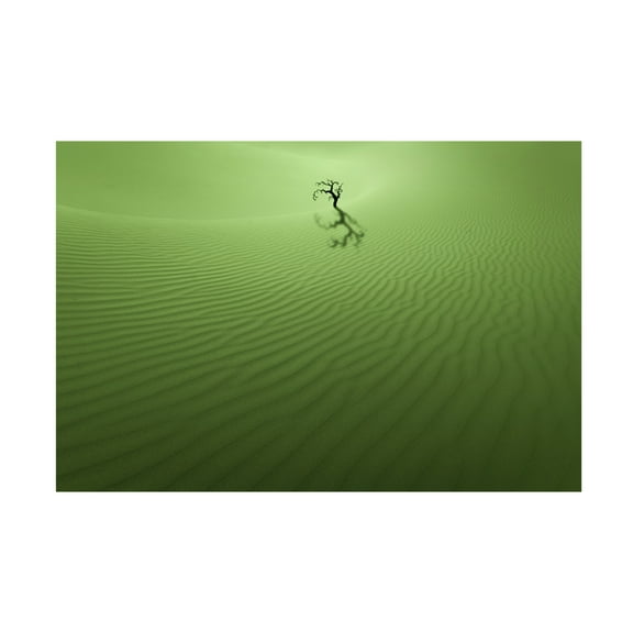 Trademark Fine Art Xiaopeng Guan Vitality Canvas Wall Art