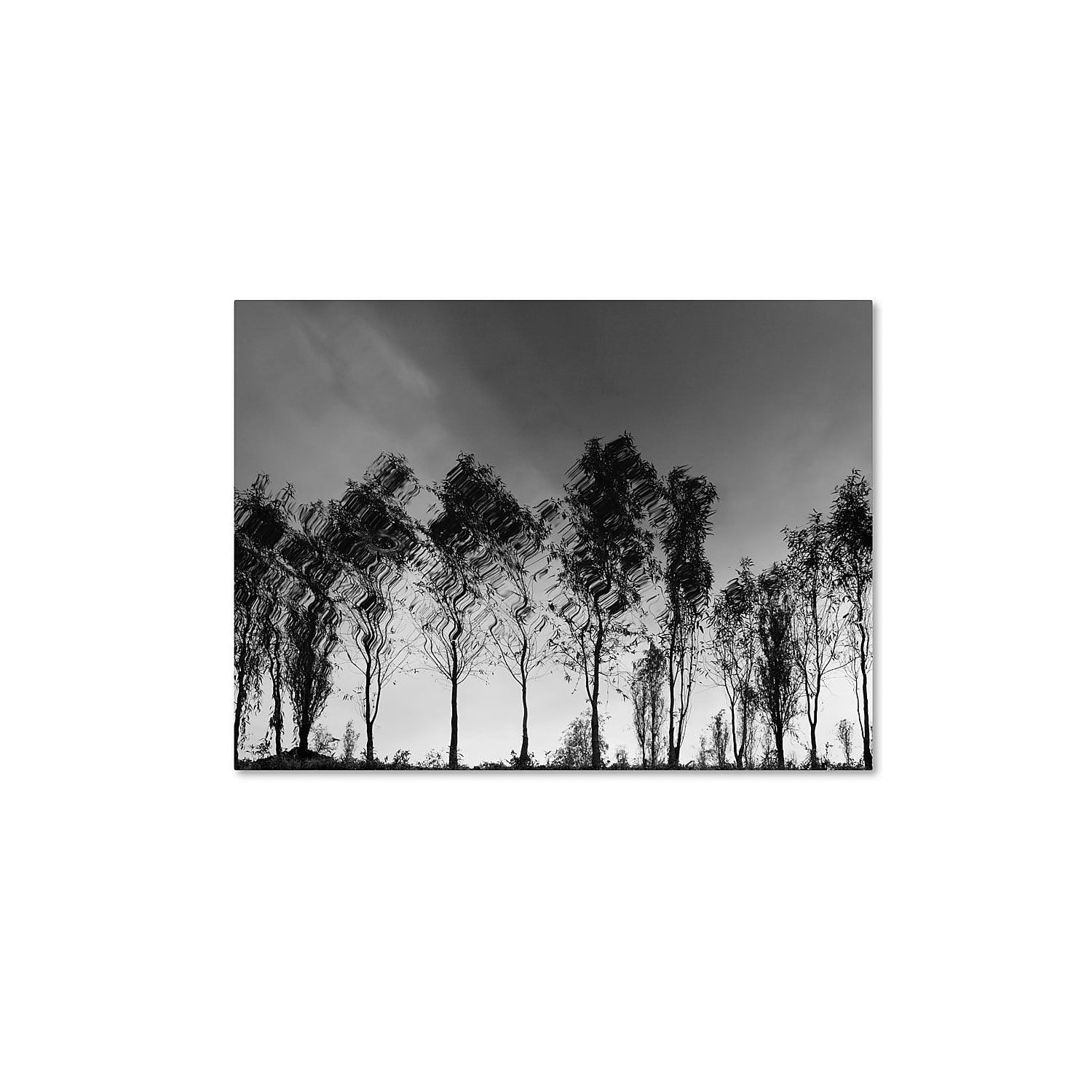 Trademark Fine Art "Xochimilco" Canvas Art by Moises Levy