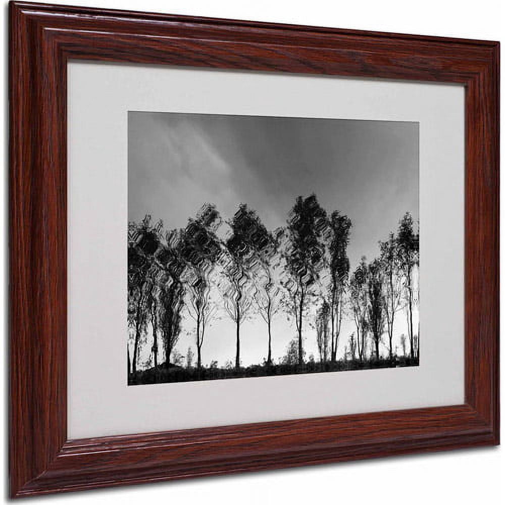 Trademark Fine Art "Xochimilco" Matted Framed Art by Moises Levy, Wood Frame