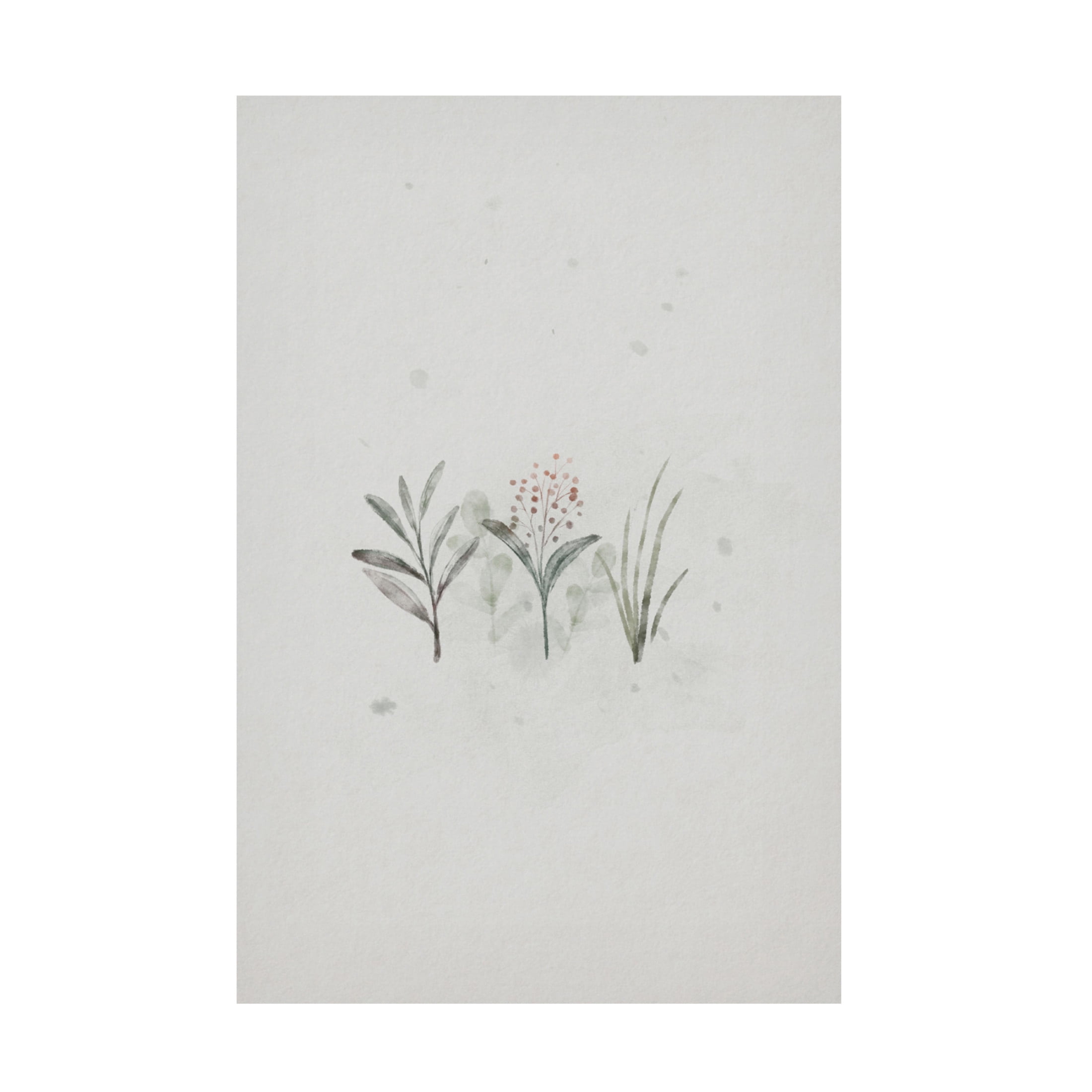 Trademark Fine Art Xuan Thai Tiny Shoots Free Canvas Wall Art