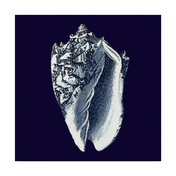 Trademark Fine Art 'Y SE PAPER Indigo Shells II' Canvas Art by Vision Studio