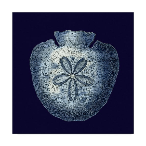 Trademark Fine Art 'Y SE PAPER Indigo Shells III' Canvas Art by Vision Studio