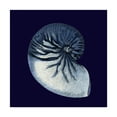 thumbnail image 1 of Trademark Fine Art 'Y SE PAPER Indigo Shells VII' Canvas Art by Vision Studio, 1 of 4
