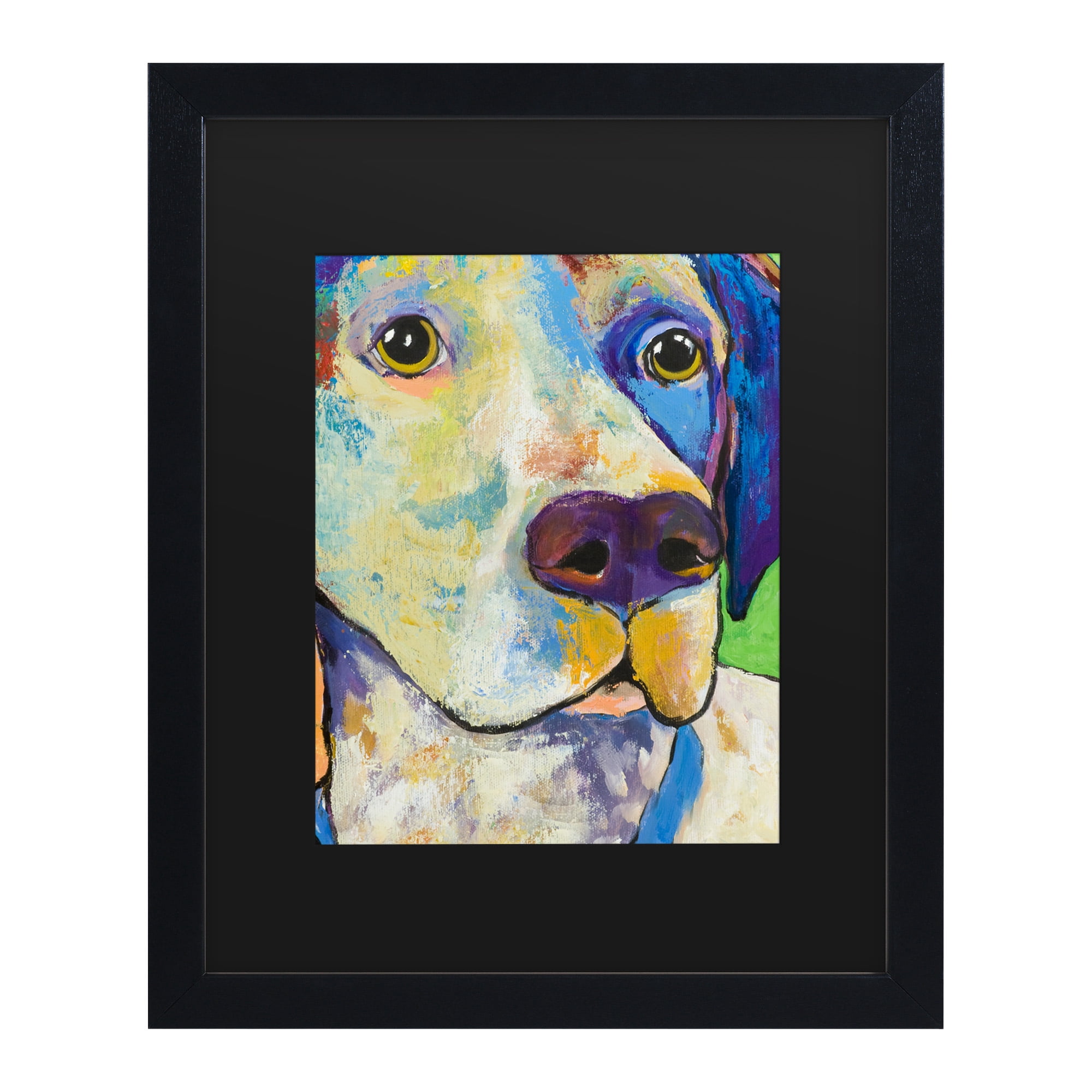 Trademark Fine Art 'Yancy' Canvas Art by Pat Saunders-White