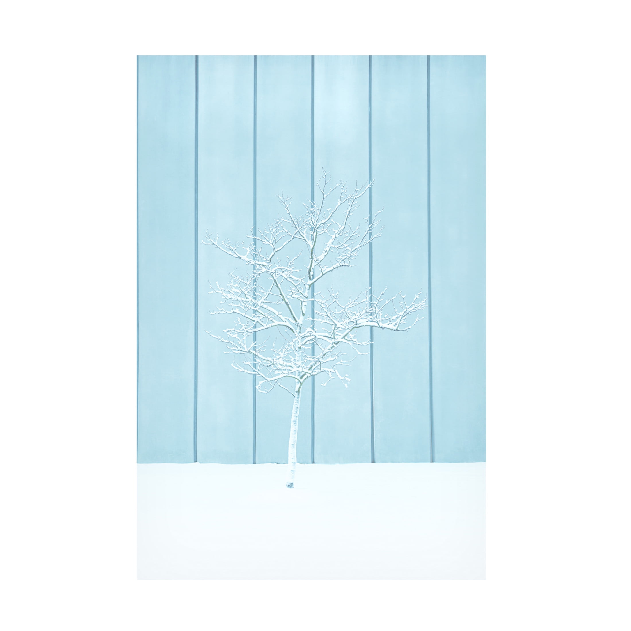 Trademark Fine Art Yanny Liu A Lonely Snow Tree Canvas Wall Art