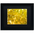 thumbnail image 1 of Trademark Fine Art "Yellow Autumn" Canvas Art by Philippe Sainte-Laudy Black Matte, Black Frame, 1 of 1
