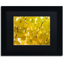 Trademark Fine Art "Yellow Autumn" Canvas Art by Philippe Sainte-Laudy Black Matte, Black Frame