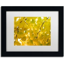 Trademark Fine Art "Yellow Autumn" Canvas Art by Philippe Sainte-Laudy White Matte, Black Frame