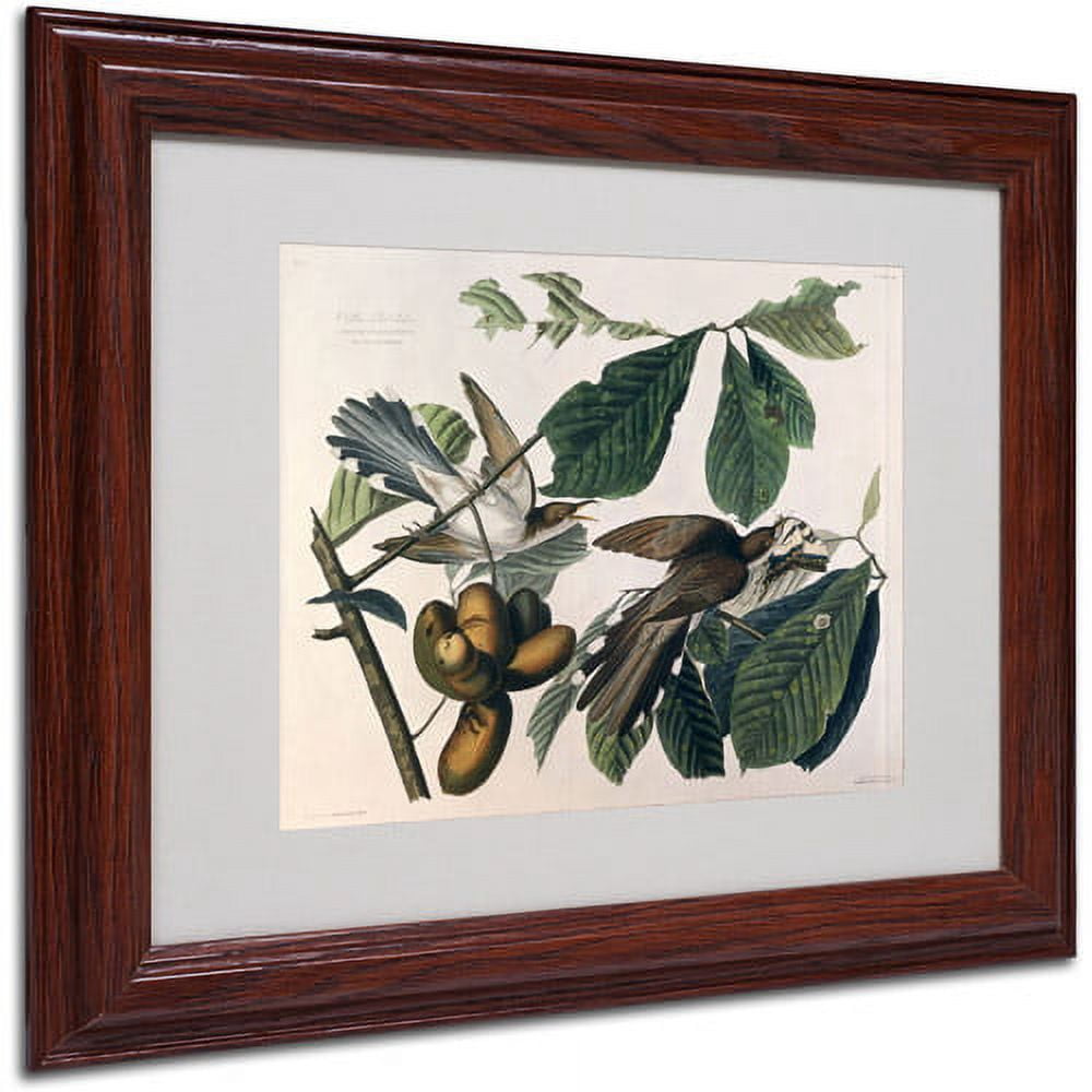 Trademark Fine Art "Yellow-Billed Cuckoo" Canvas Art by John James Audubon, Wood Frame