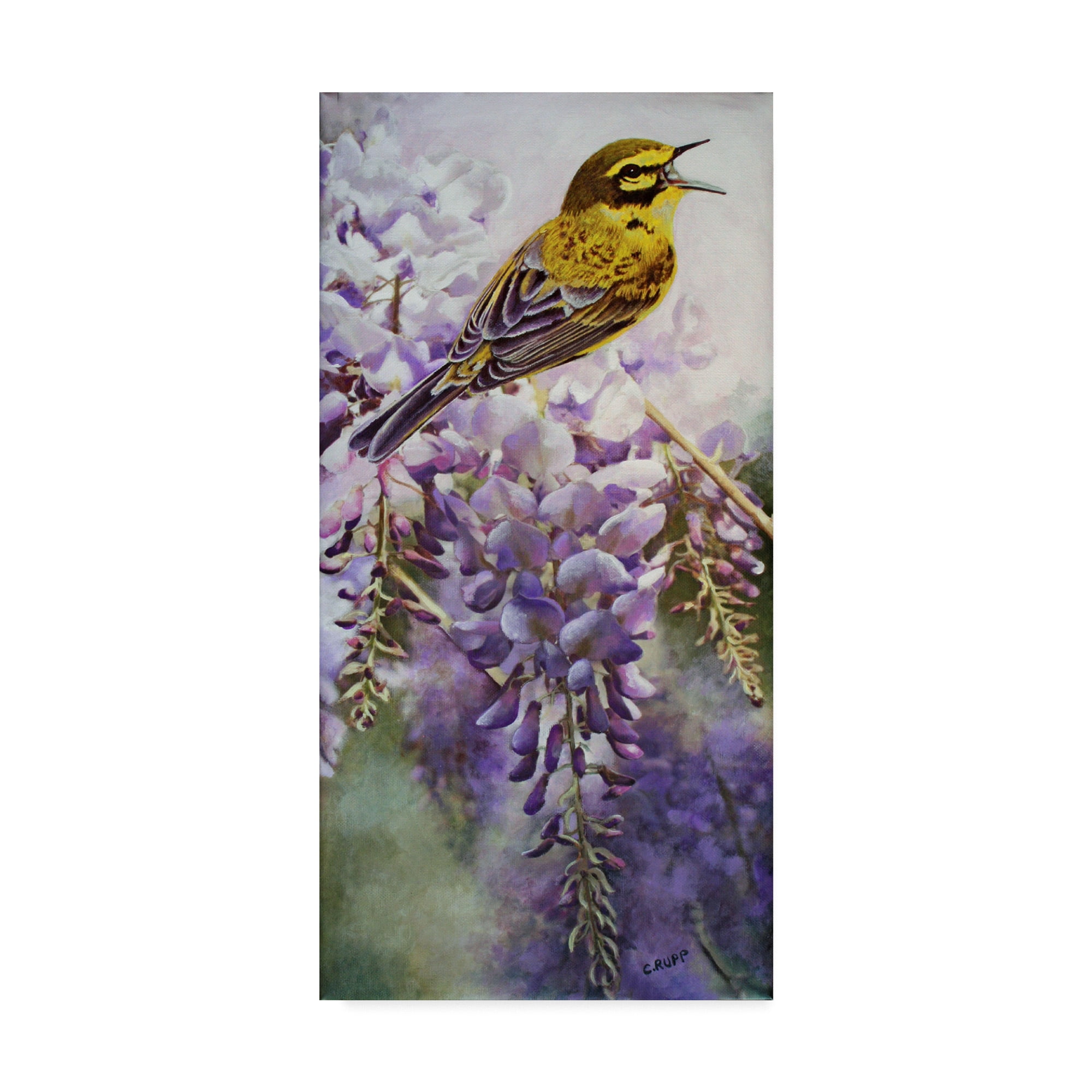 Trademark Fine Art 'Yellow Bird in Wisteria' Canvas Art by Carol J Rupp