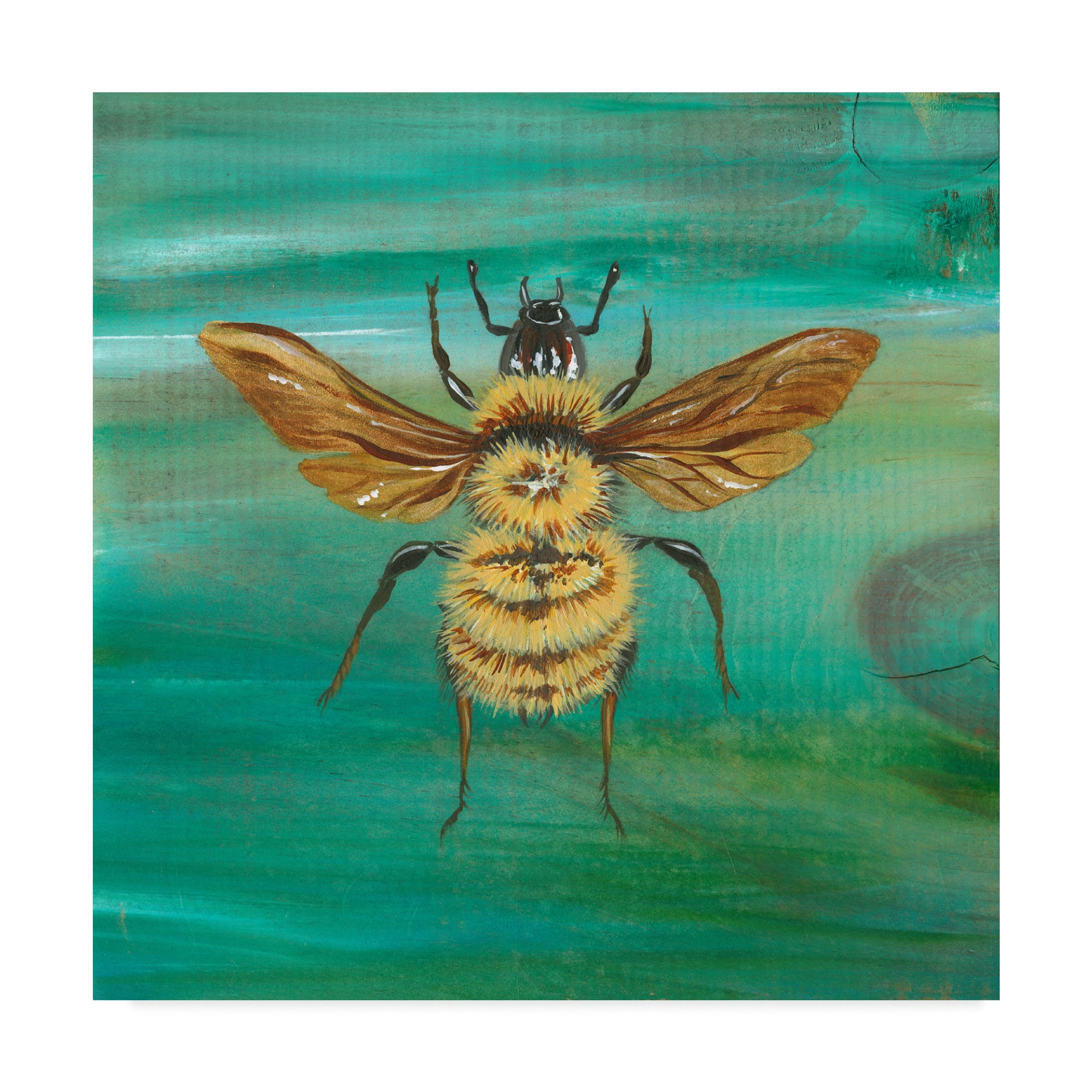Trademark Fine Art 'Yellow Bumble Bee' Canvas Art by Gigi Begin