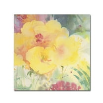 Trademark Fine Art 'Yellow Burst' Canvas Art by Sheila Golden