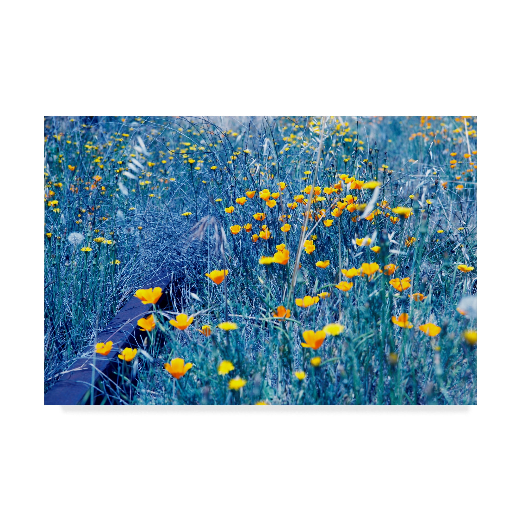 Large Blue and Yellow Floral Canvas Art