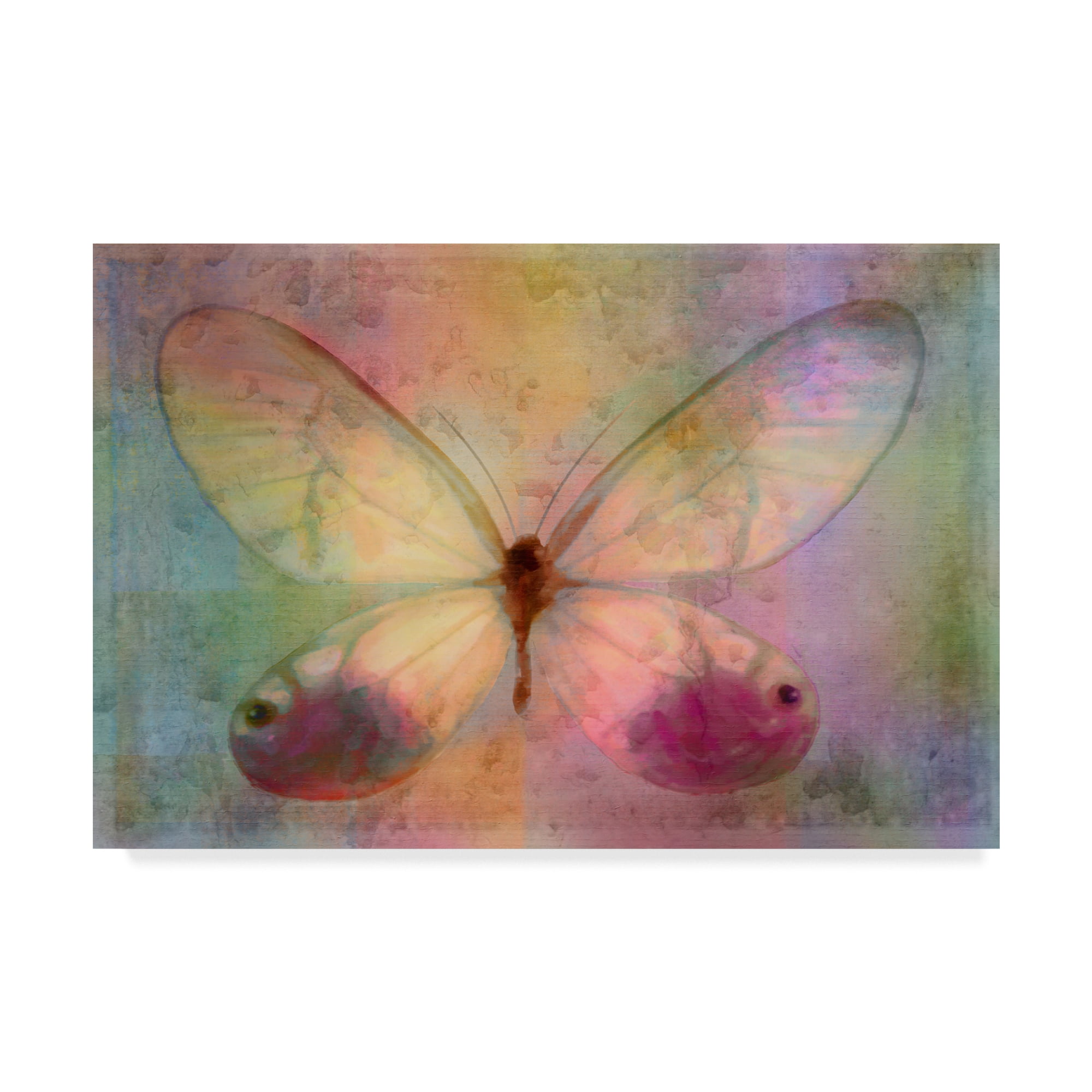 Yellow Butterfly Watercolor Canvas Art Print, 15x20 Inches