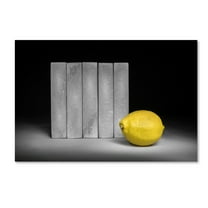 Trademark Fine Art 'Yellow' Canvas Art by Christophe Verot