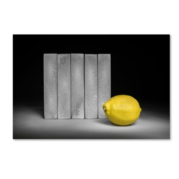 Trademark Fine Art 'Yellow' Canvas Art by Christophe Verot