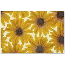 Trademark Fine Art Cora Niele Yellow Cape Daisies Canvas Wall Art - 12x19