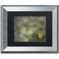 thumbnail image 1 of Trademark Fine Art "Yellow Daisy Abstract" Canvas Art by Kurt Shaffer, Black Matte, Silver Frame, 1 of 4