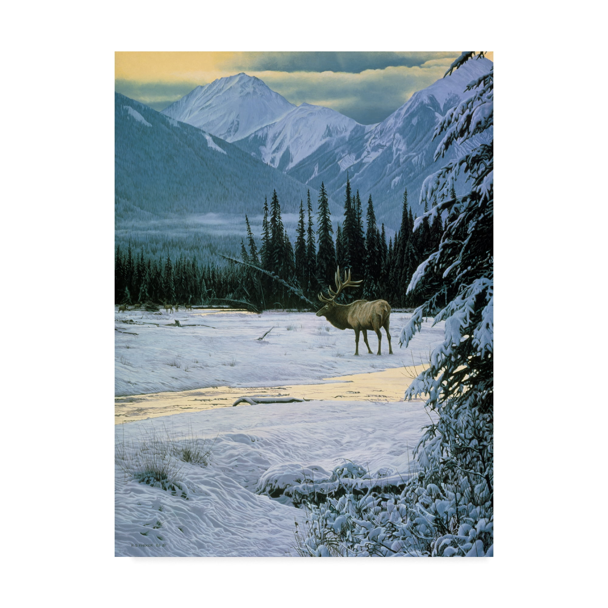 Trademark Fine Art 'Yellow Dawn American Elk' Canvas Art by Ron Parker