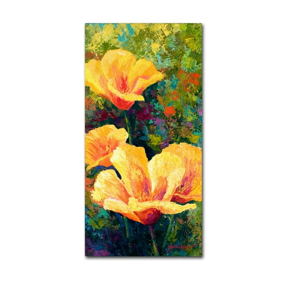Trademark Fine Art 'Yellow Field Poppies' Canvas Art by Marion Rose