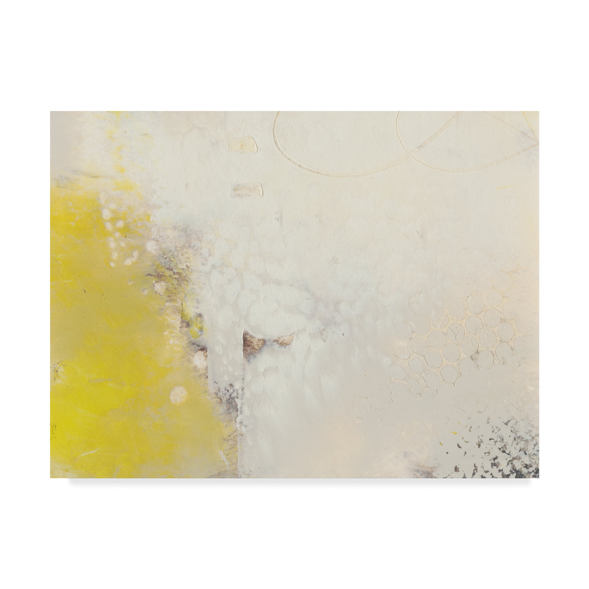 Trademark Fine Art 'Yellow Lux I' Canvas Art by Sue Jachimiec