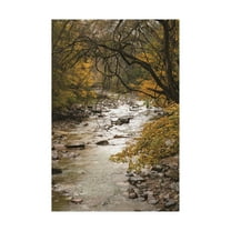 Trademark Fine Art 'Yellow Maples along the River' Canvas Art by Kurt Shaffer Photographs