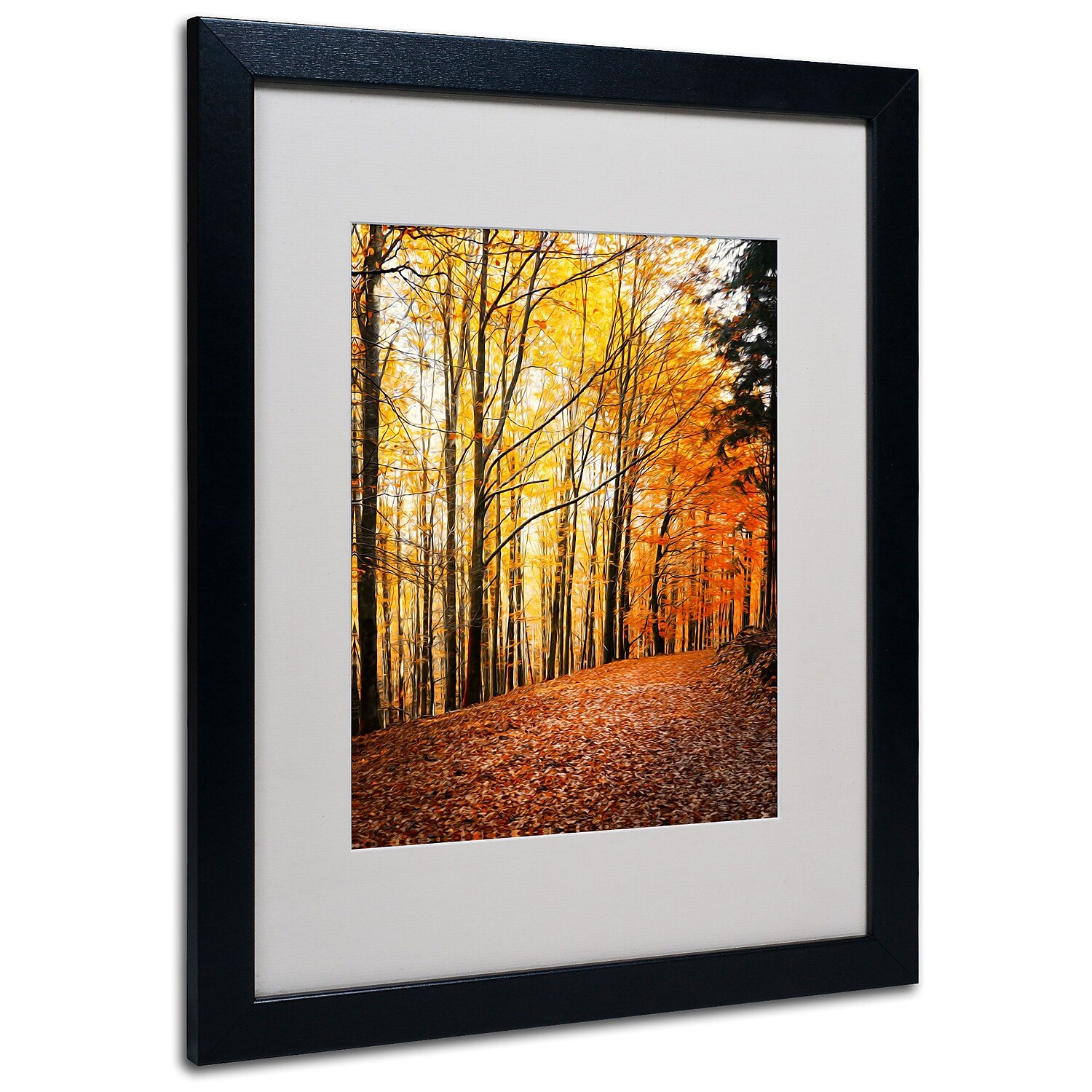 Trademark Fine Art "Yellow Moment" Canvas Art by Philippe Sainte-Laudy, Black Frame
