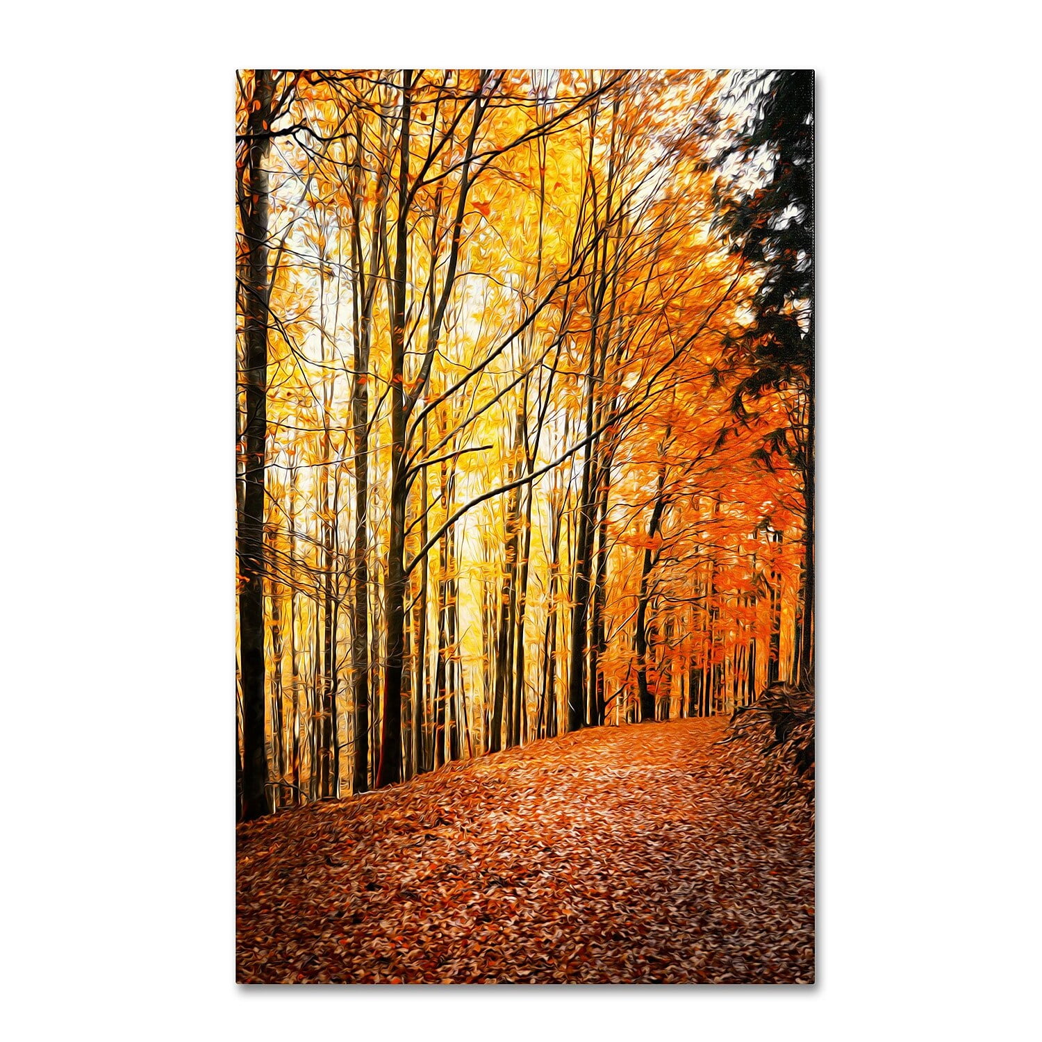 Trademark Fine Art "Yellow Moment" Canvas Art by Philippe Sainte-Laudy