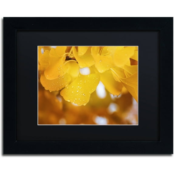 Trademark Fine Art "Yellow Pearls" Canvas Art by Philippe Sainte-Laudy Black Matte, Black Frame