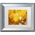 thumbnail image 1 of Trademark Fine Art "Yellow Pearls" Canvas Art by Philippe Sainte-Laudy White Matte, Silver Frame, 1 of 1